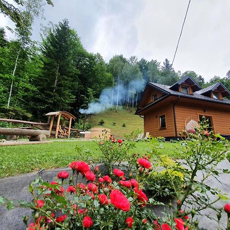 Domek Nad Stawami Ochotnica Dolna Villa Kamer foto