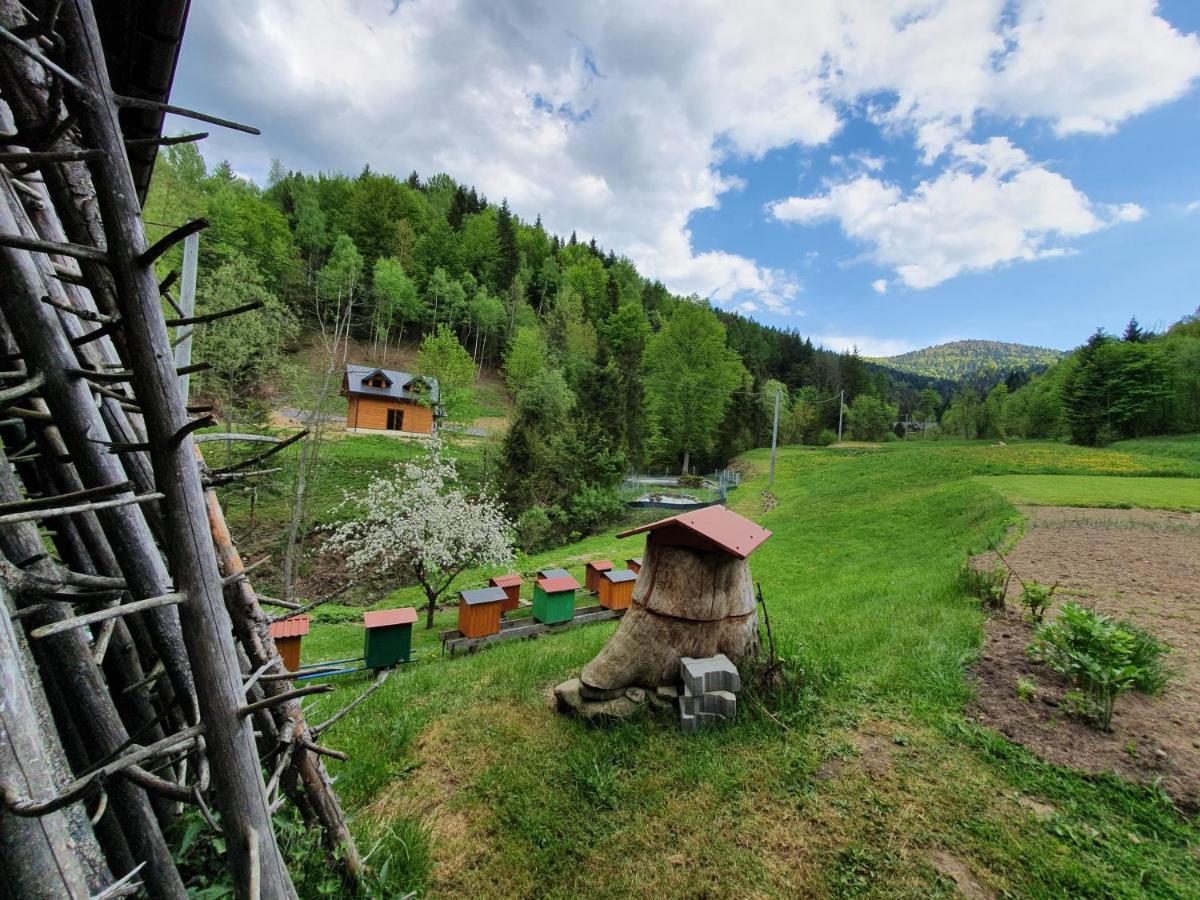 Domek Nad Stawami Ochotnica Dolna Villa Buitenkant foto