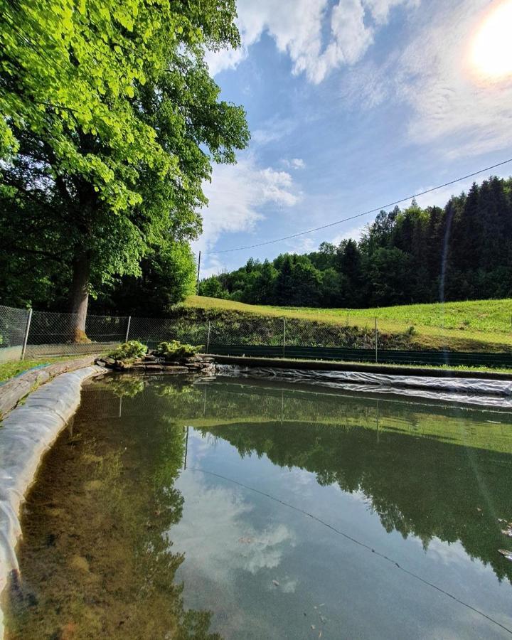 Domek Nad Stawami Ochotnica Dolna Villa Buitenkant foto