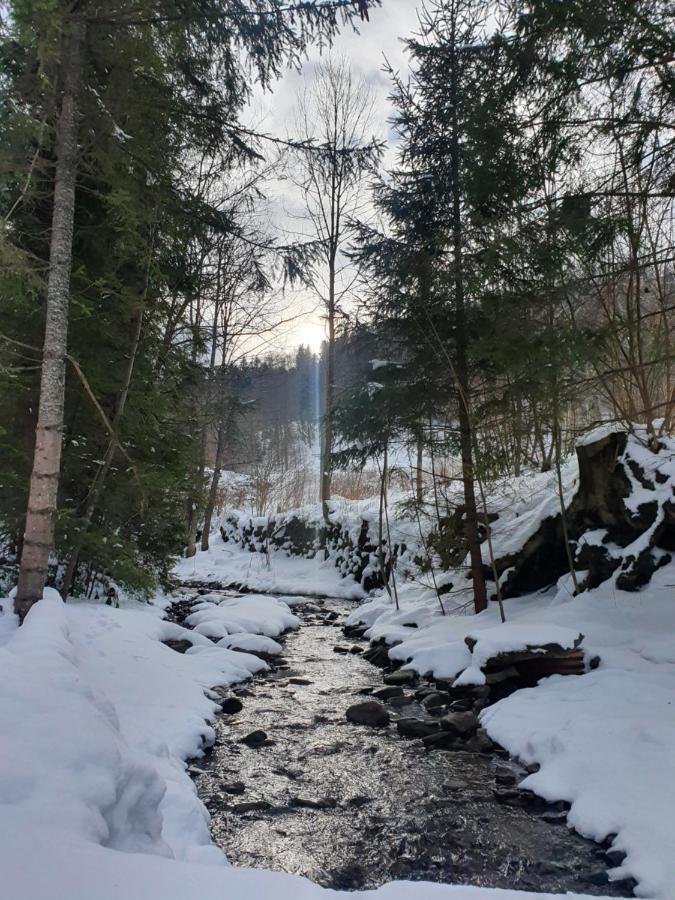 Domek Nad Stawami Ochotnica Dolna Villa Buitenkant foto