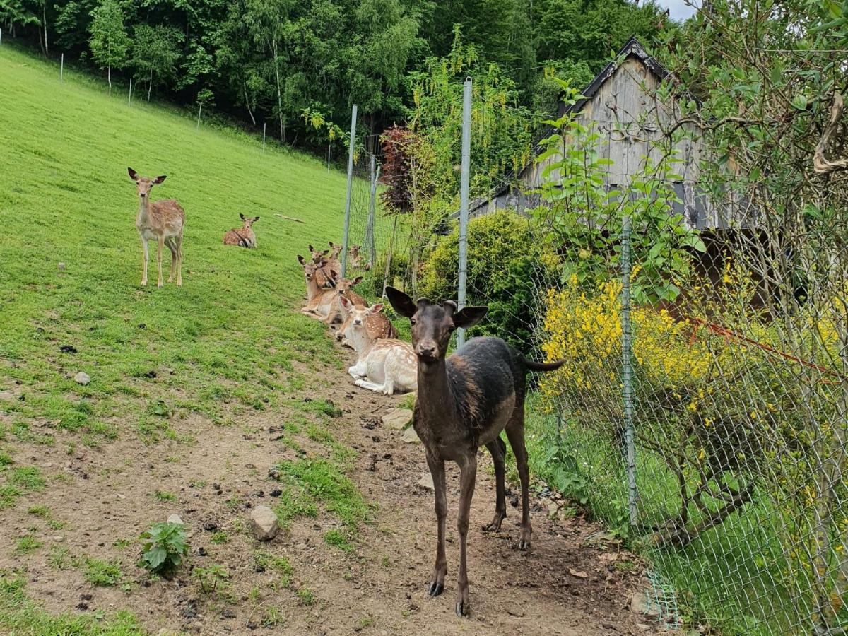 Domek Nad Stawami Ochotnica Dolna Villa Buitenkant foto