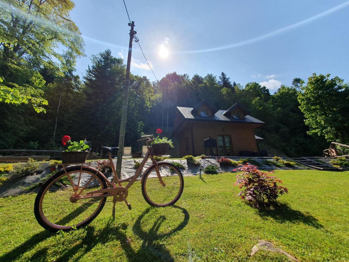 Domek Nad Stawami Ochotnica Dolna Villa Buitenkant foto